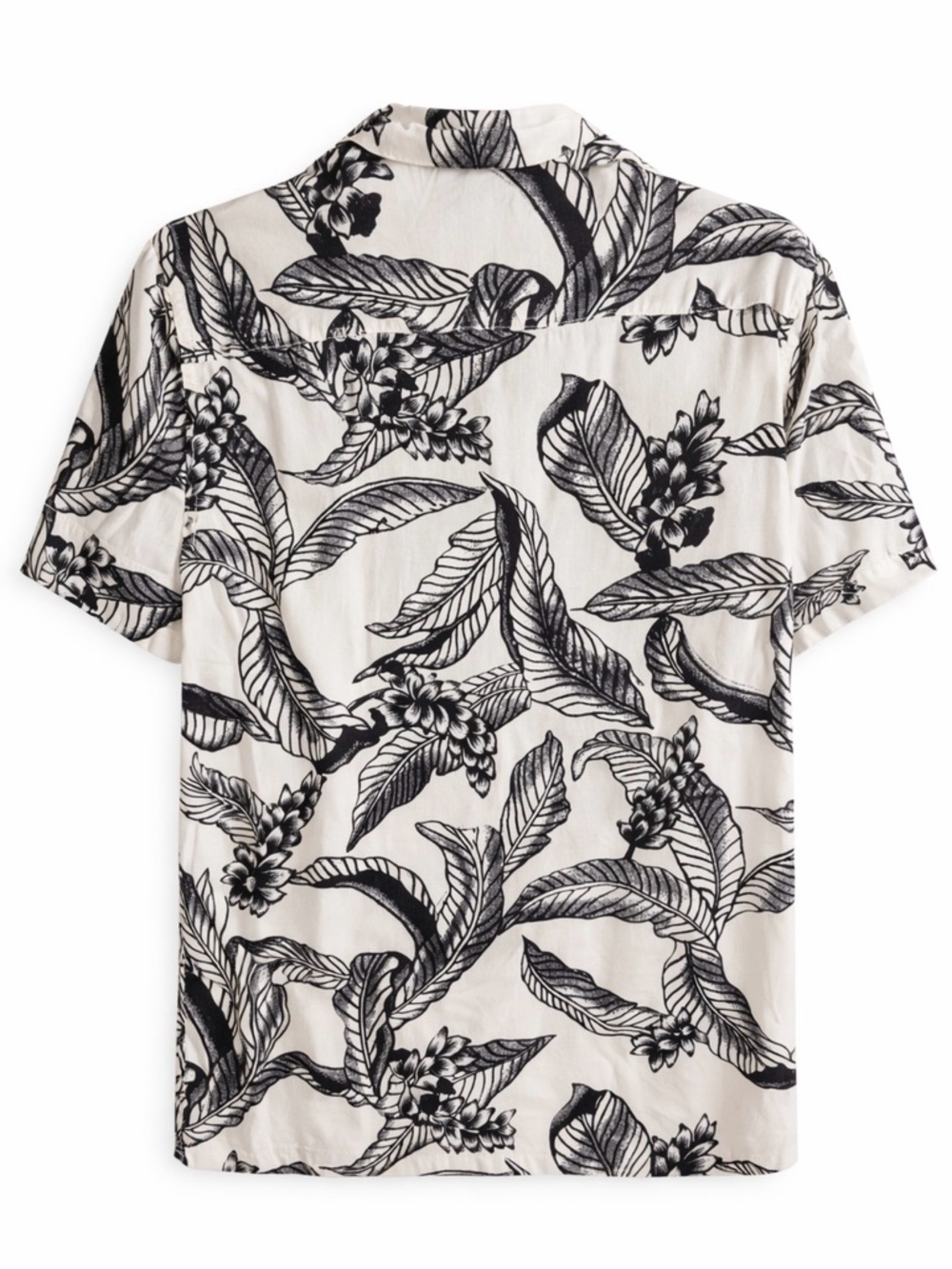 All Saints - Button down - Picture 2 of 3